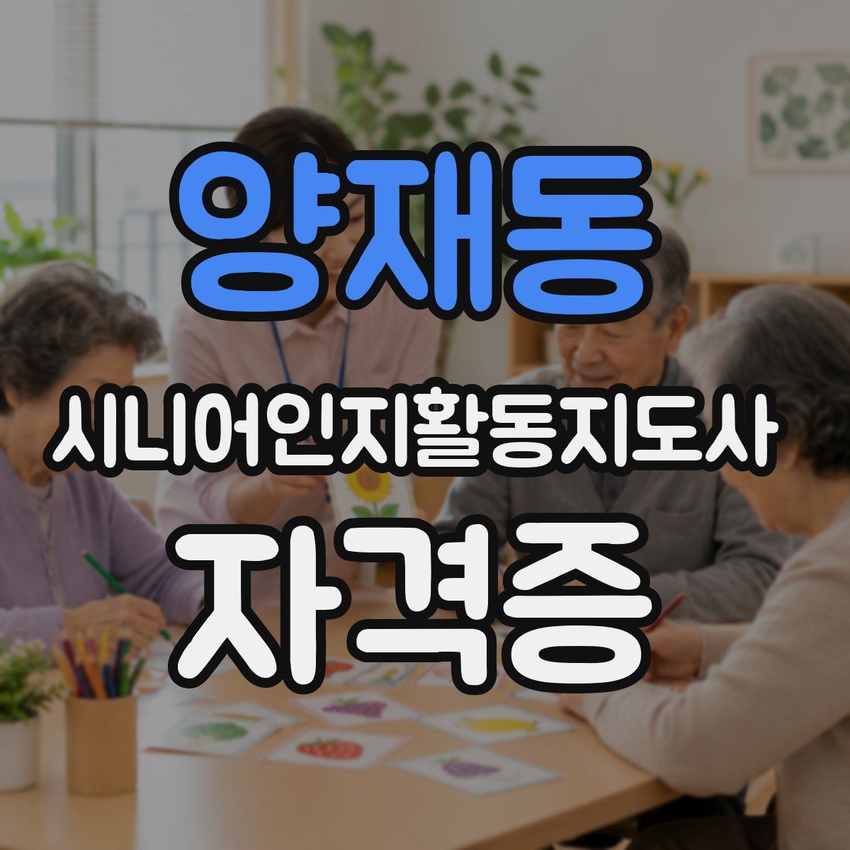 양재동 시니어인지활동지도사 자격증