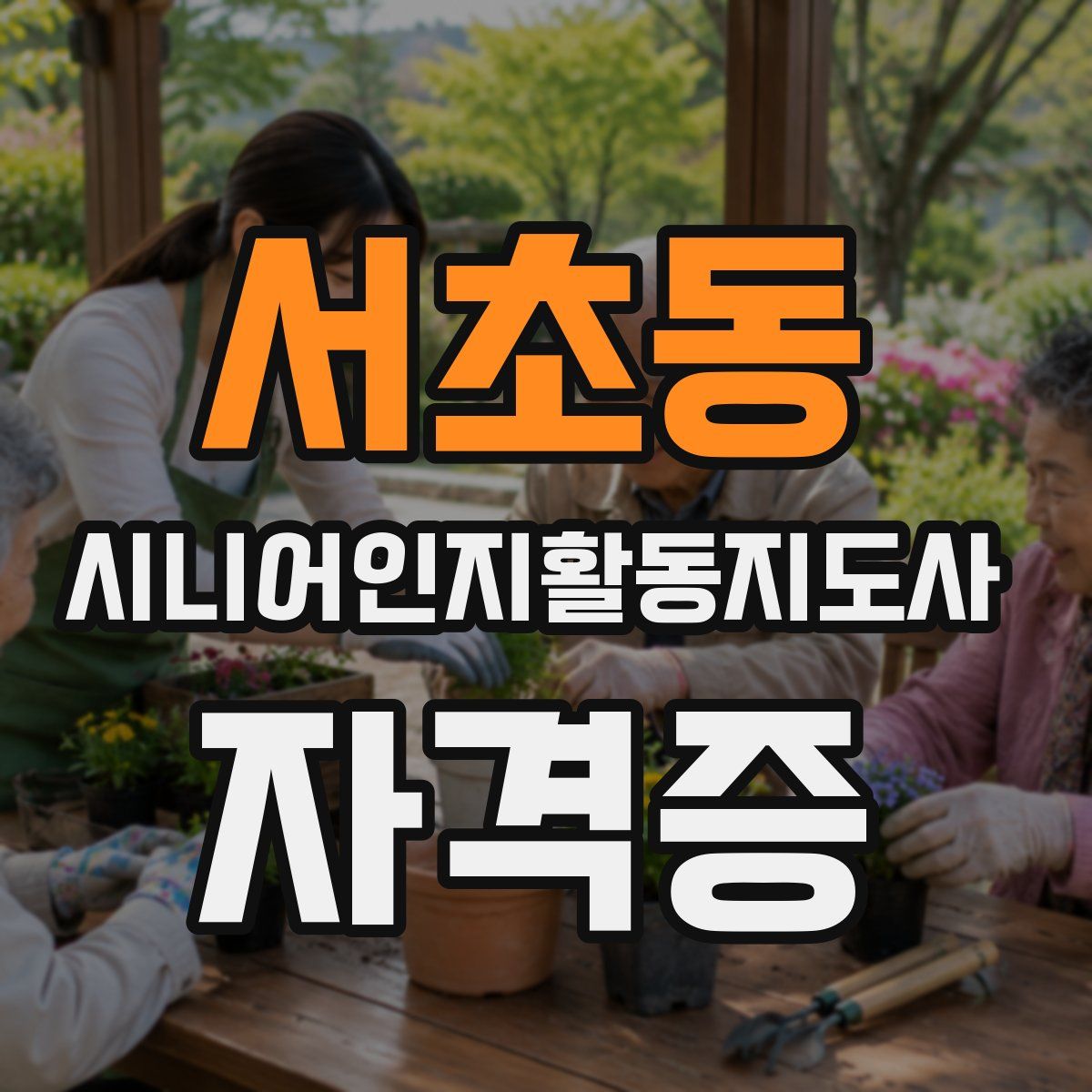 서초동 시니어인지활동지도사 자격증