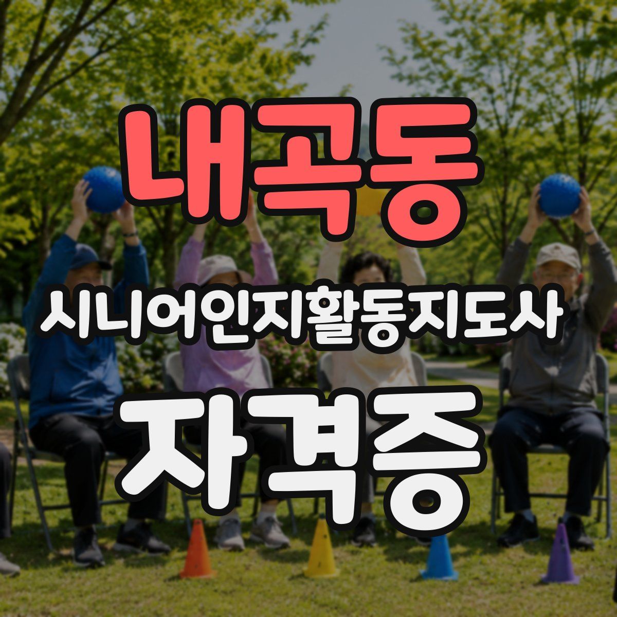 내곡동 시니어인지활동지도사 자격증