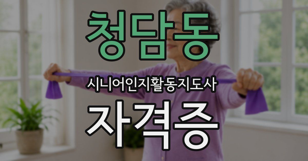 청담동 시니어인지활동지도사 자격증