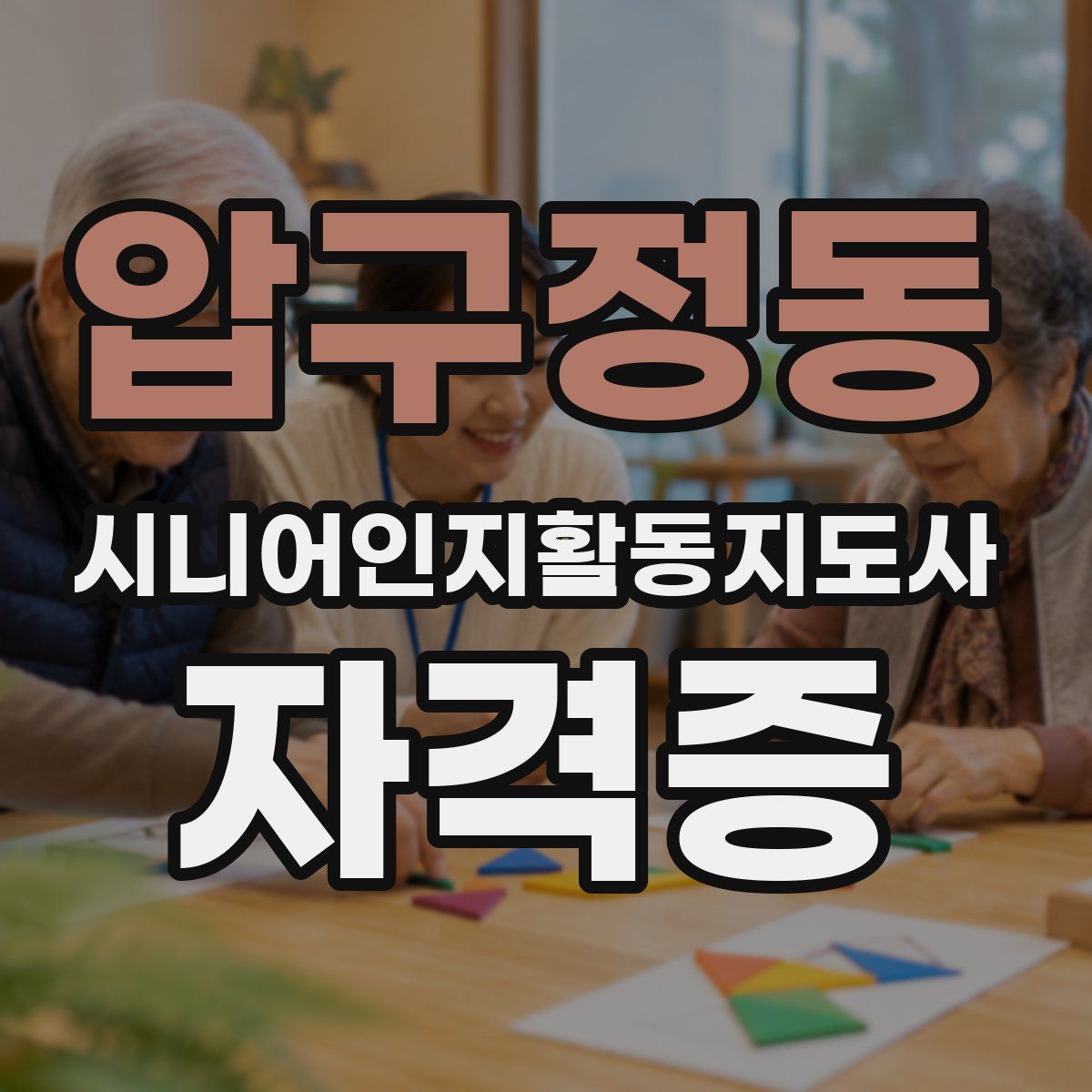 압구정동 시니어인지활동지도사 자격증
