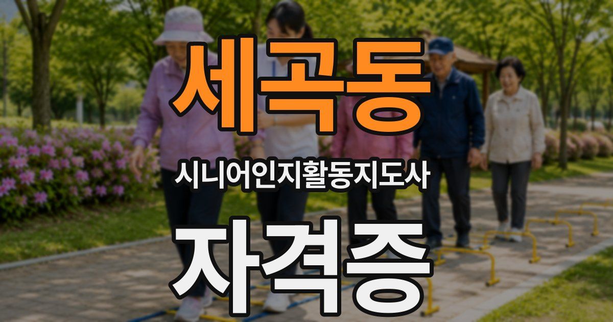 세곡동 시니어인지활동지도사 자격증