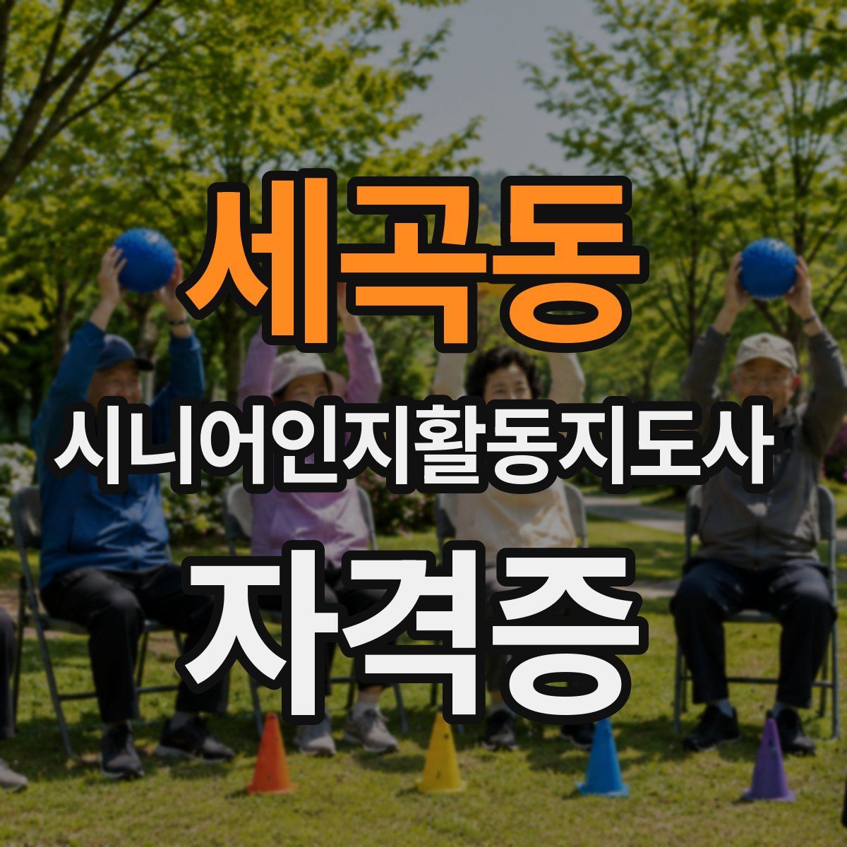 세곡동 시니어인지활동지도사 자격증