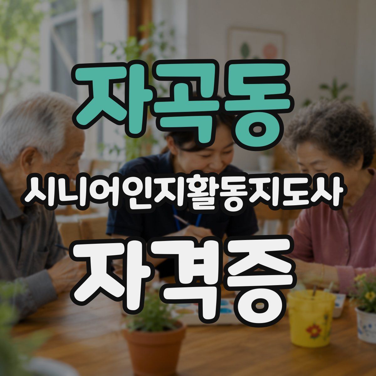 자곡동 시니어인지활동지도사 자격증