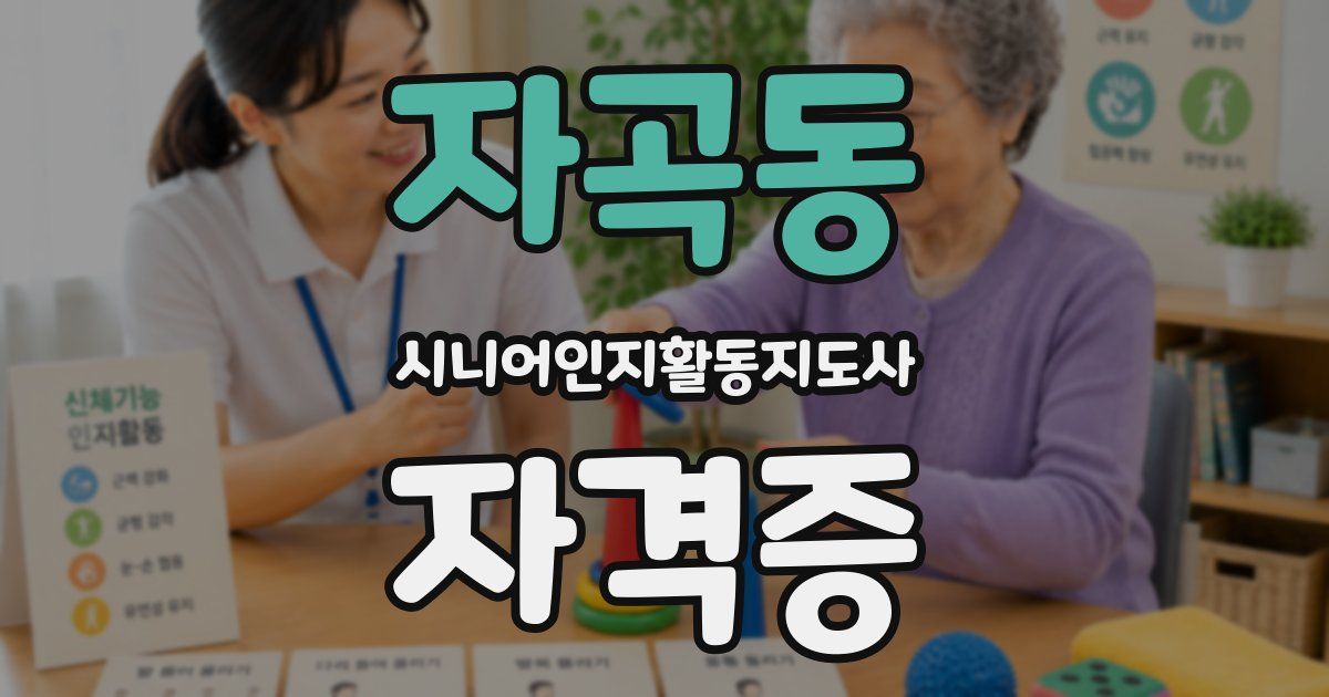 자곡동 시니어인지활동지도사 자격증