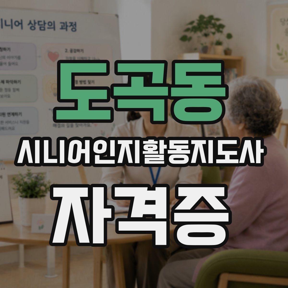 도곡동 시니어인지활동지도사 자격증