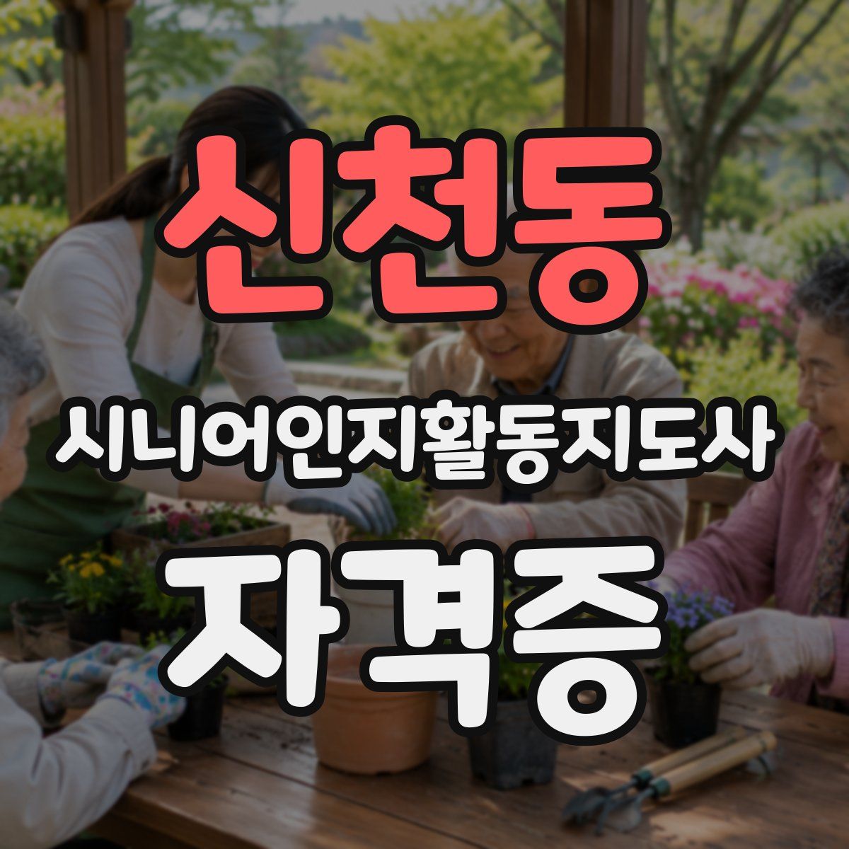 신천동 시니어인지활동지도사 자격증