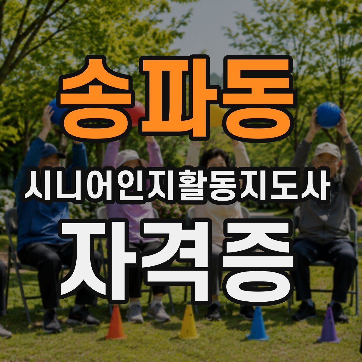 송파동 시니어인지활동지도사 자격증