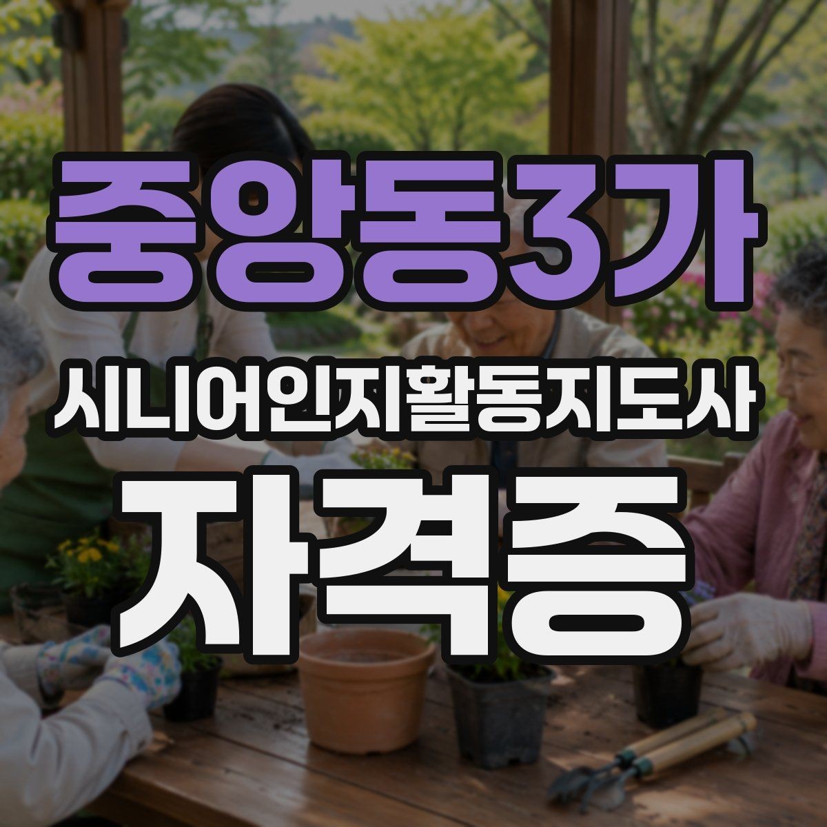 중앙동3가 시니어인지활동지도사 자격증 공부 계획을 세우는 방법