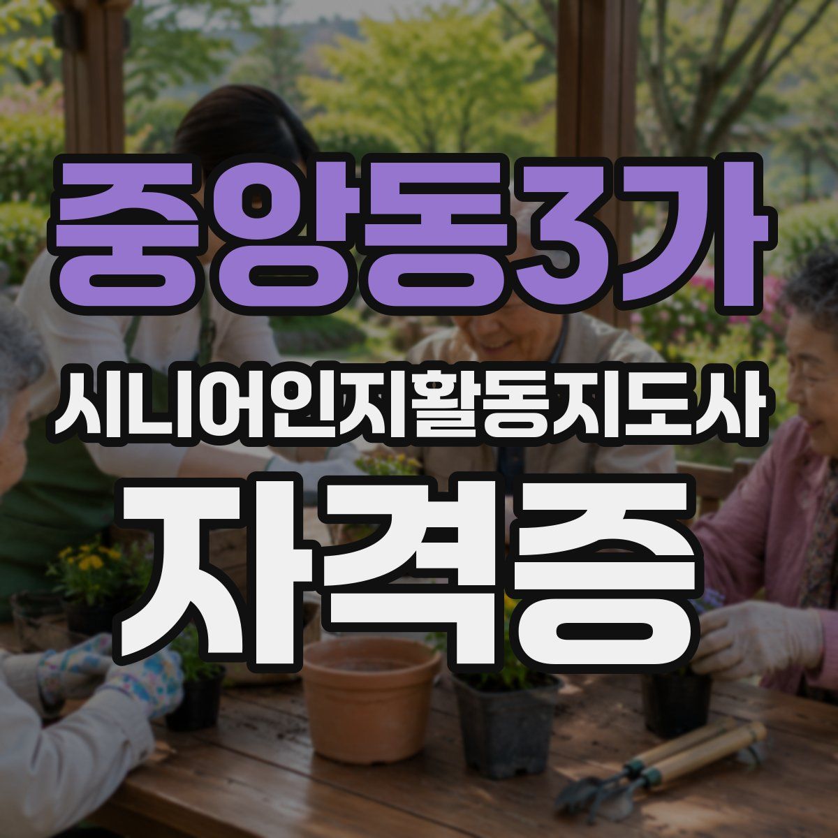 중앙동3가 시니어인지활동지도사 자격증