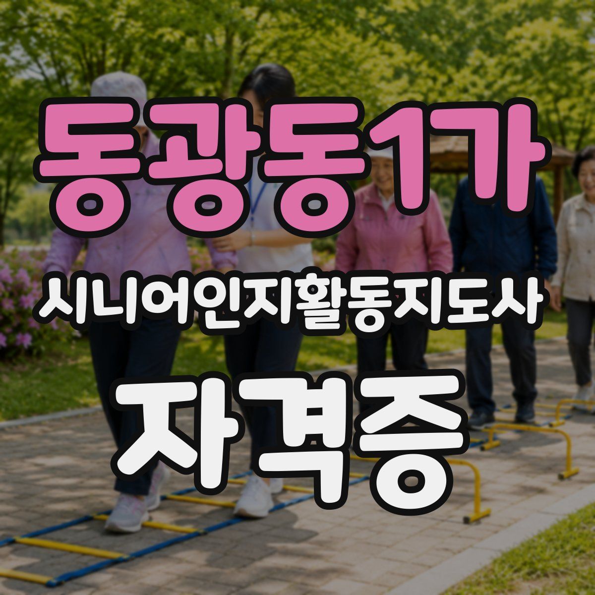 동광동1가 시니어인지활동지도사 자격증