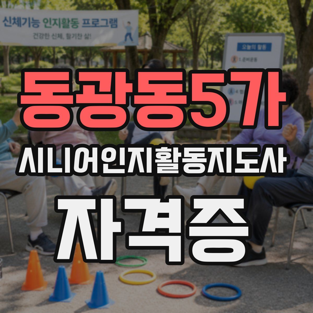 동광동5가 시니어인지활동지도사 자격증