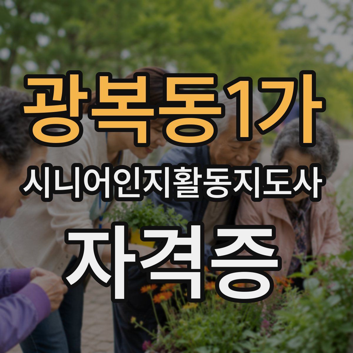 광복동1가 시니어인지활동지도사 자격증