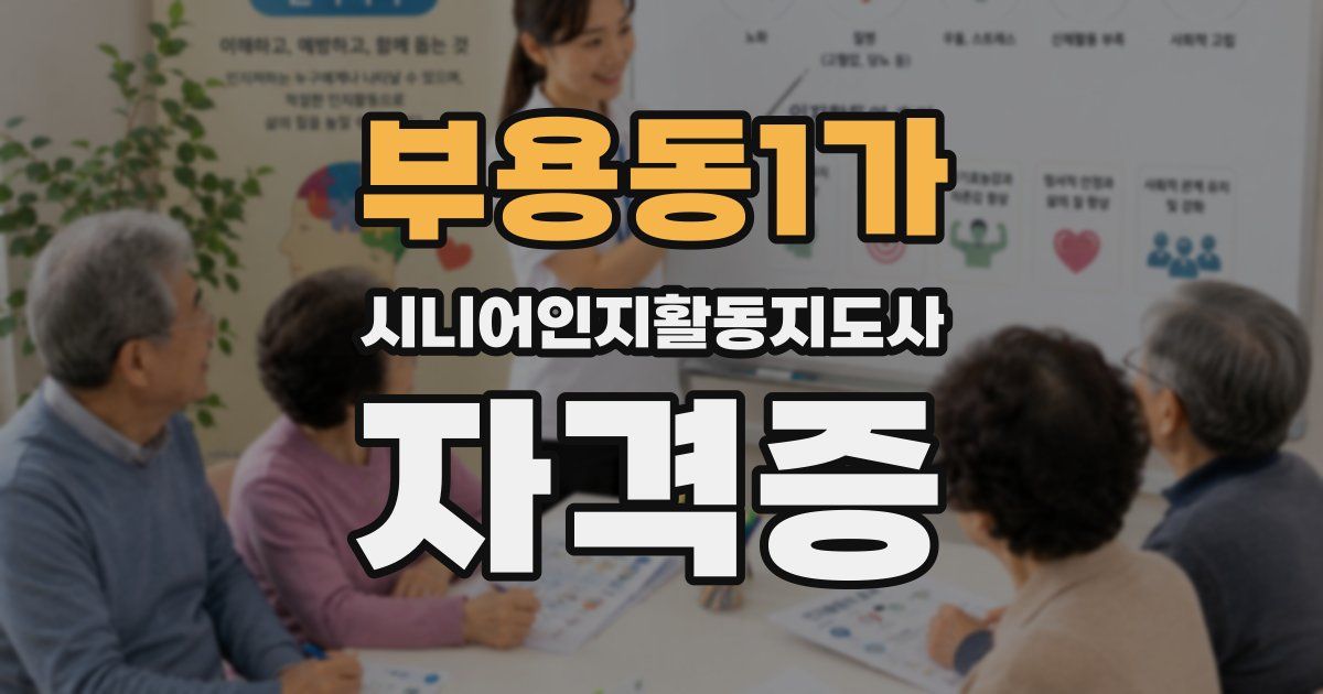 부용동1가 시니어인지활동지도사 자격증