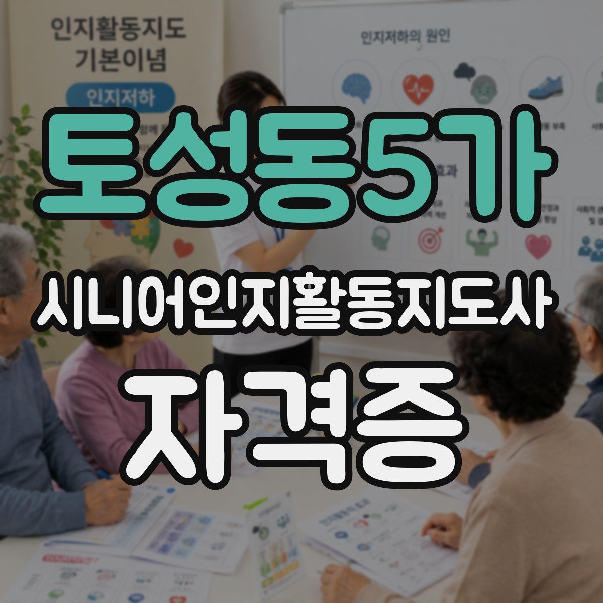 토성동5가 시니어인지활동지도사 자격증