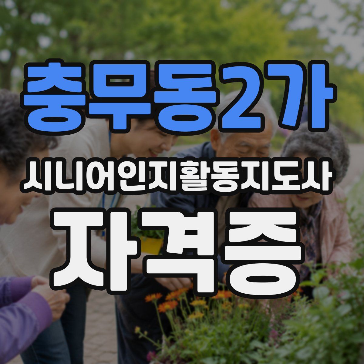 충무동2가 시니어인지활동지도사 자격증