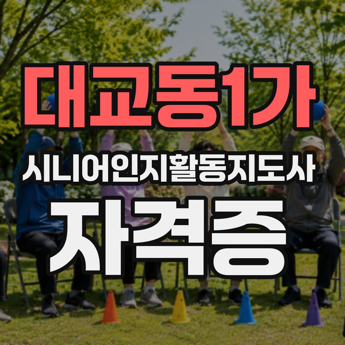 대교동1가 시니어인지활동지도사 자격증