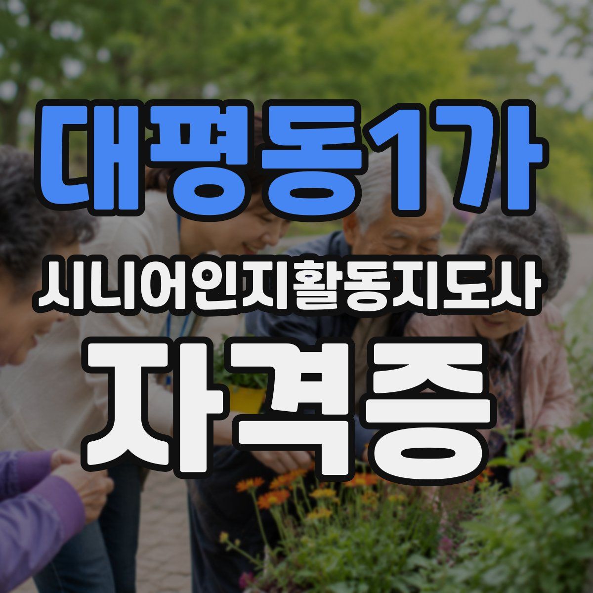 대평동1가 시니어인지활동지도사 자격증