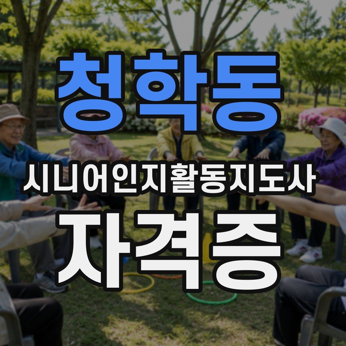 청학동 시니어인지활동지도사 자격증 초보자용 준비 가이드