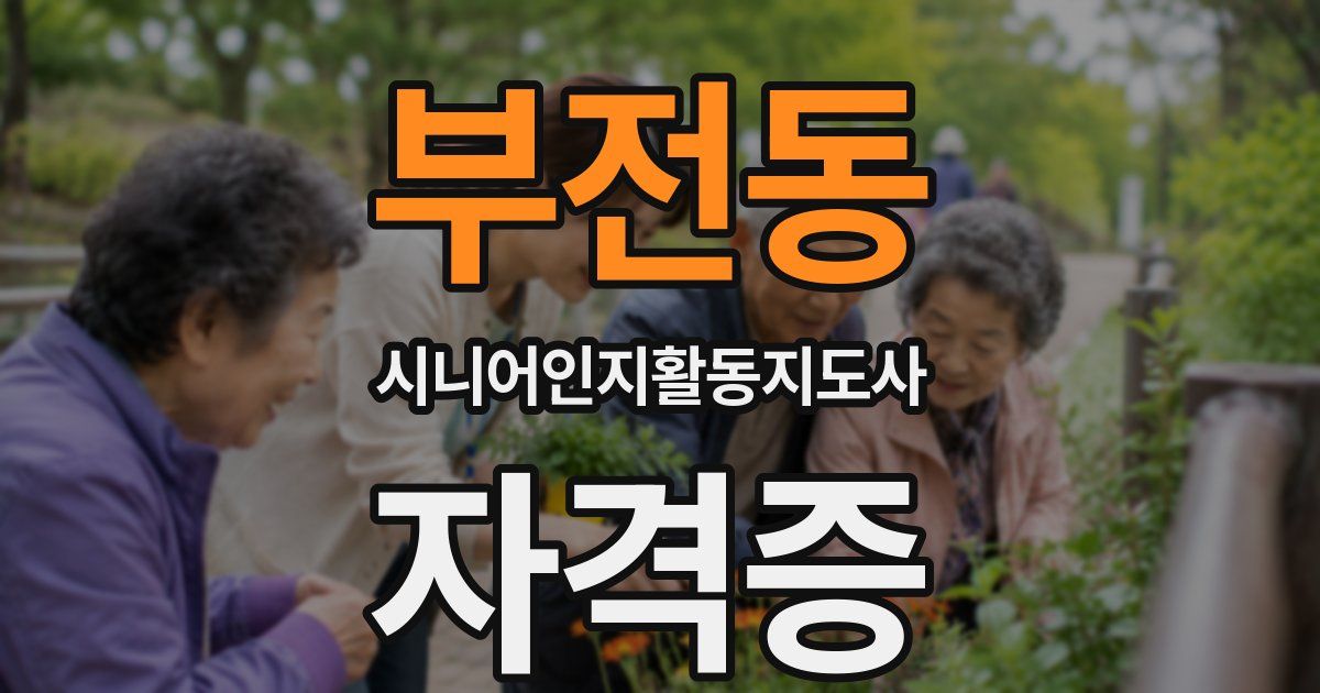 부전동 시니어인지활동지도사 자격증