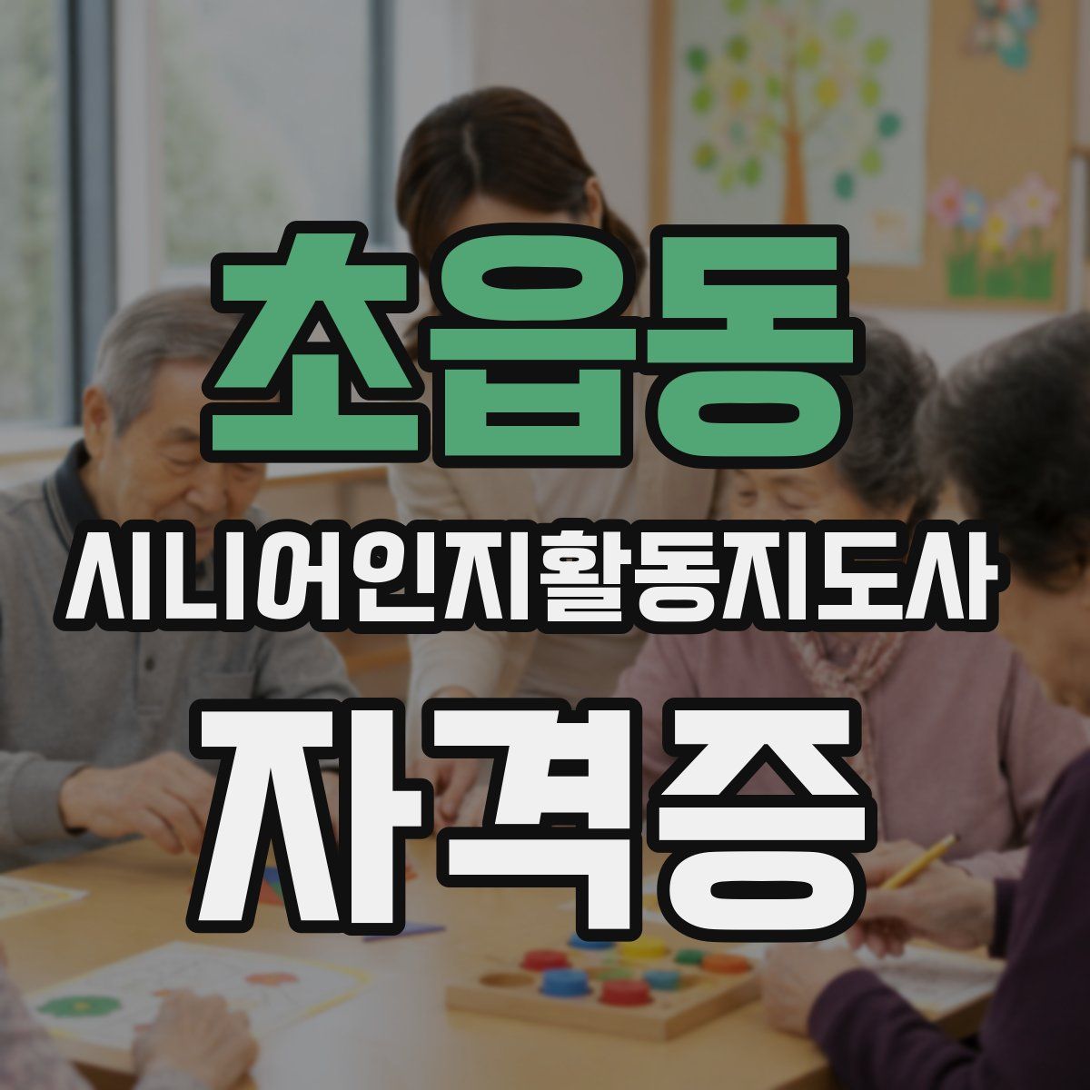 초읍동 시니어인지활동지도사 자격증