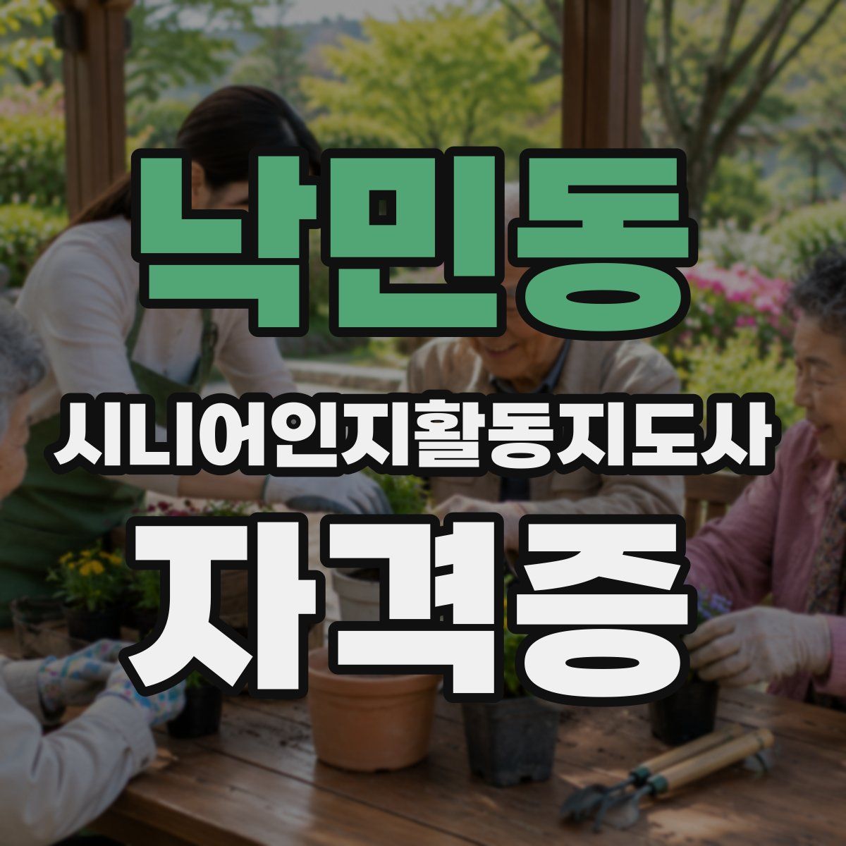 낙민동 시니어인지활동지도사 자격증