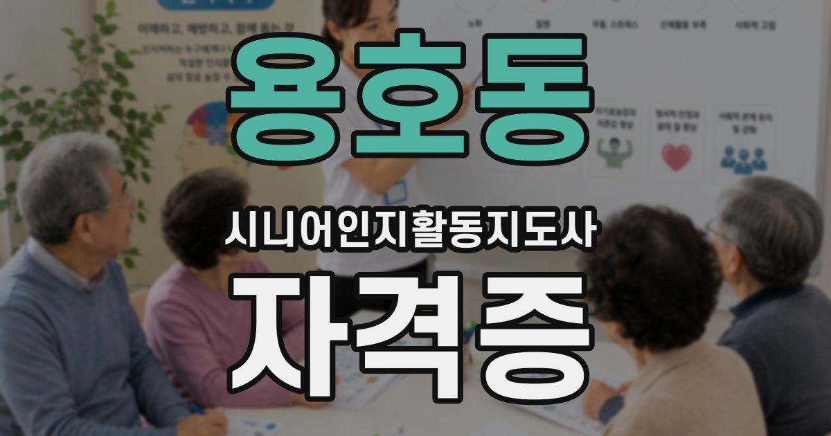용호동 시니어인지활동지도사 자격증