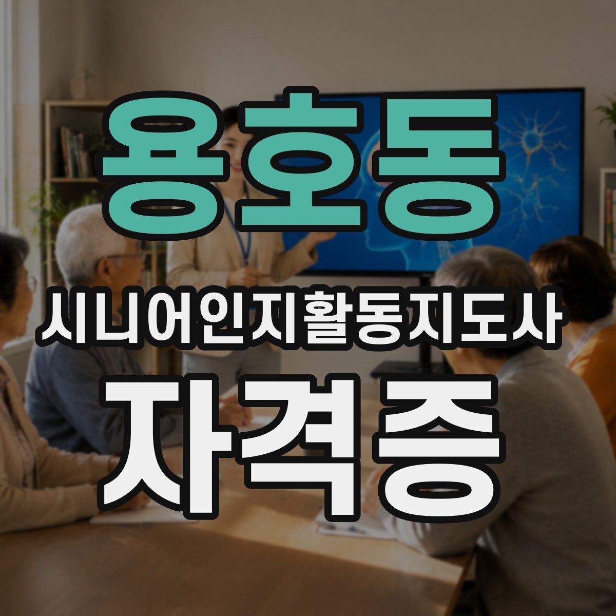 용호동 시니어인지활동지도사 자격증