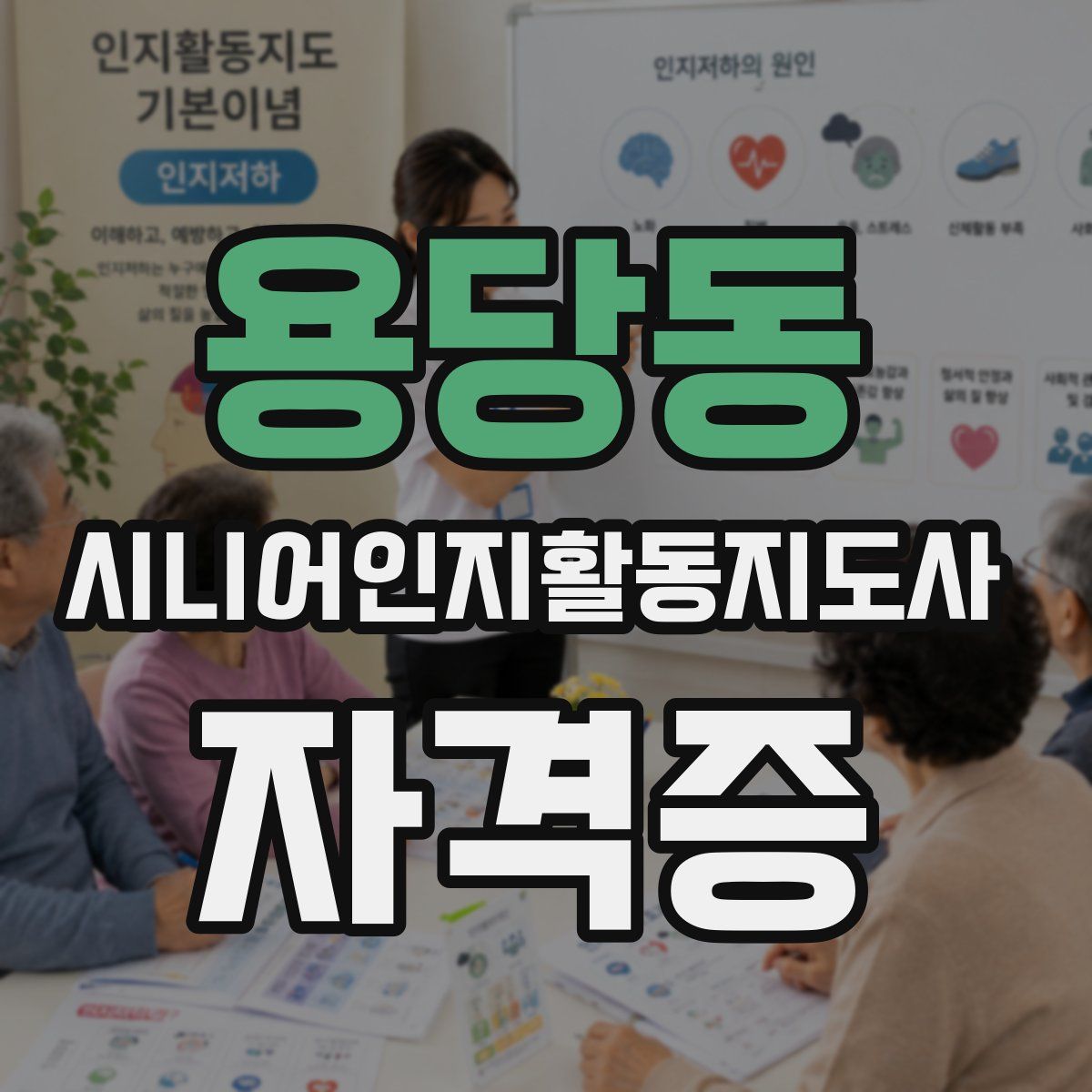 용당동 시니어인지활동지도사 자격증