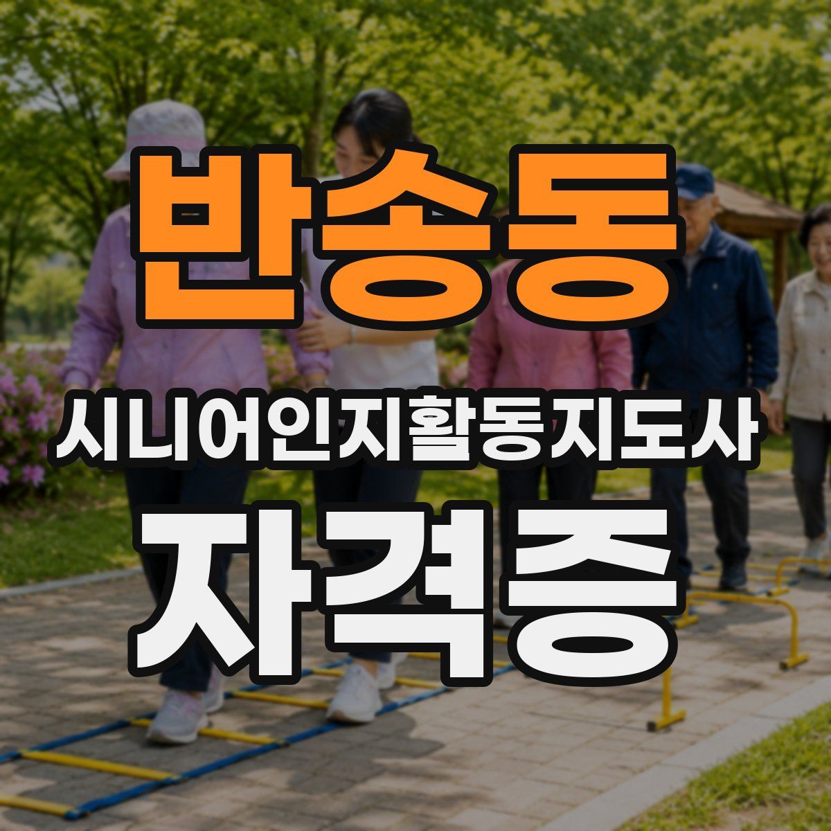 반송동 시니어인지활동지도사 자격증