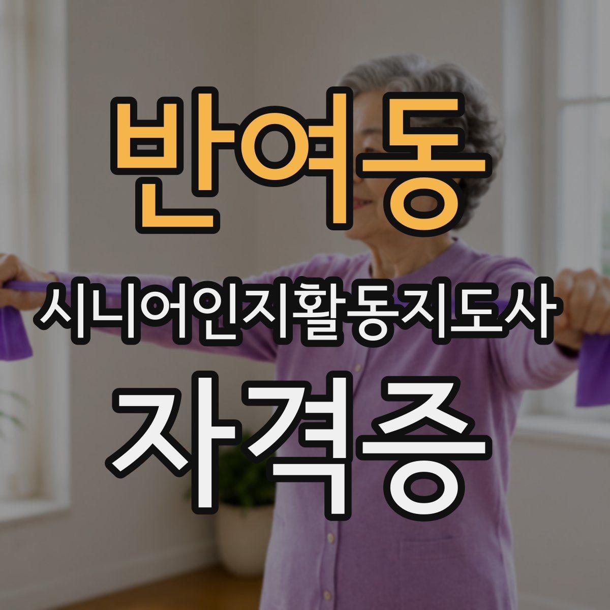 반여동 시니어인지활동지도사 자격증 신청 과정 단계별로 보기