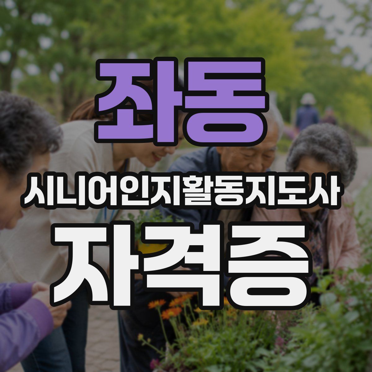 좌동 시니어인지활동지도사 자격증
