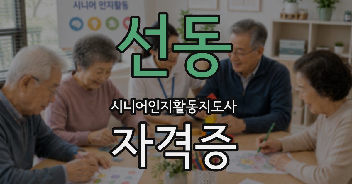선동 시니어인지활동지도사 자격증