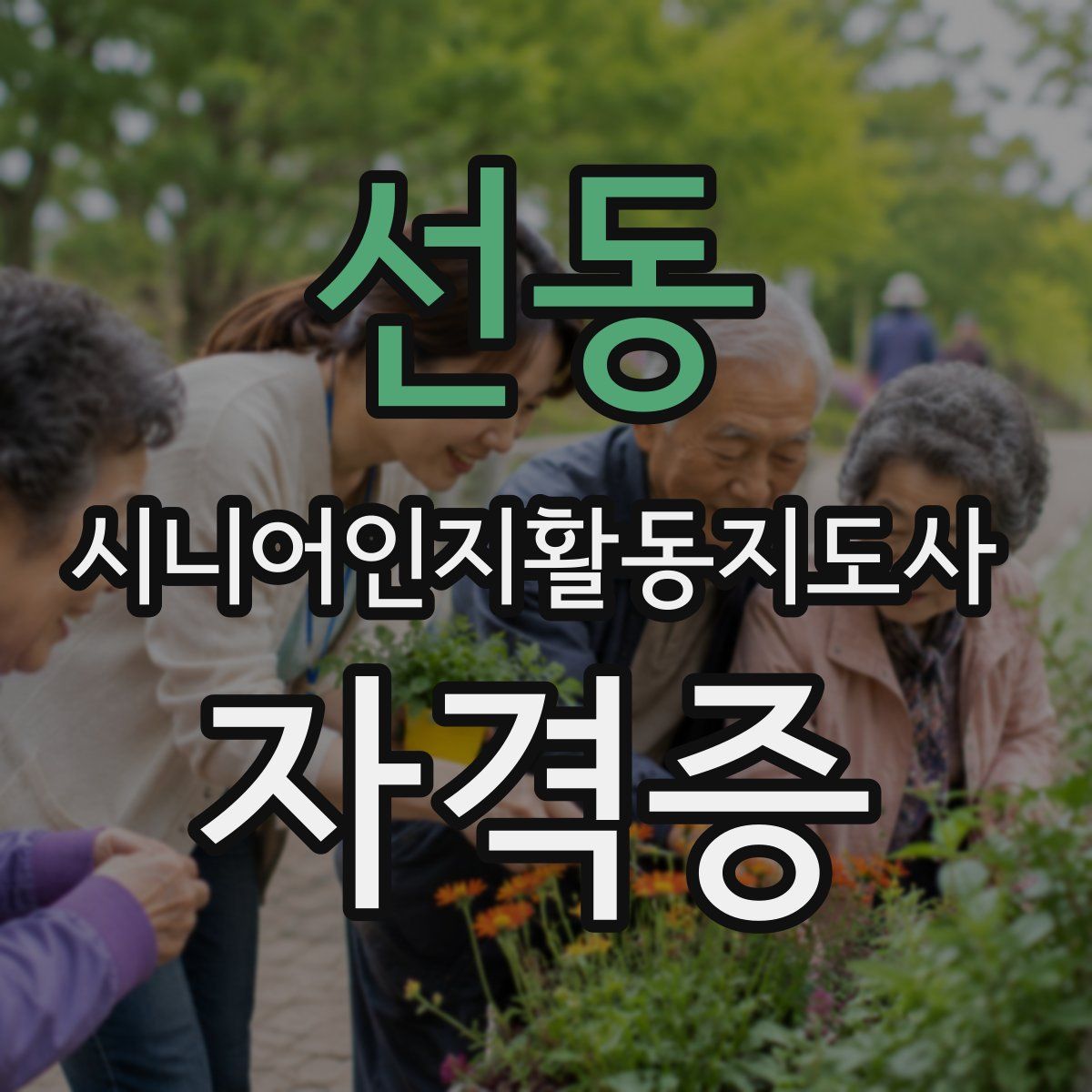 선동 시니어인지활동지도사 자격증