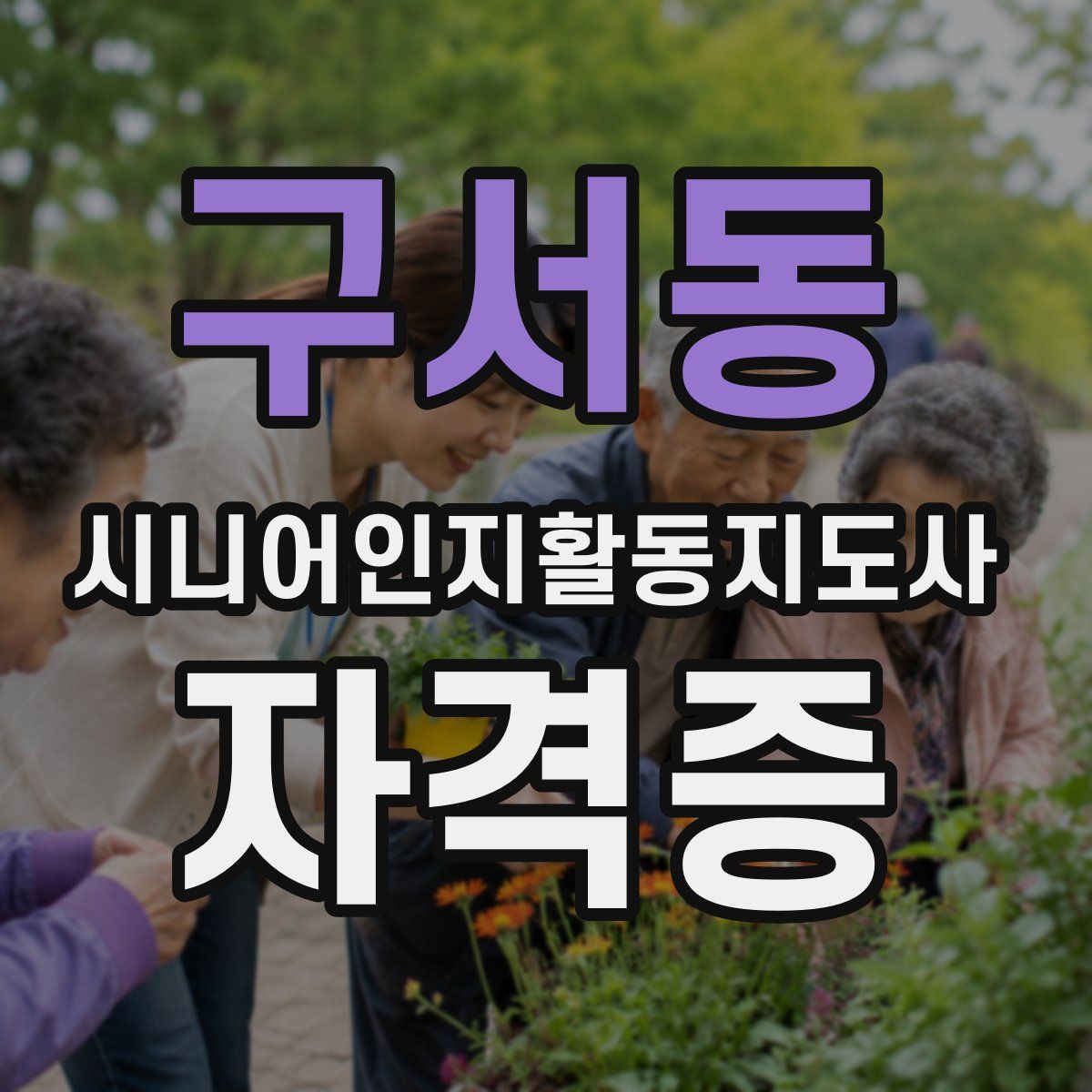 구서동 시니어인지활동지도사 자격증