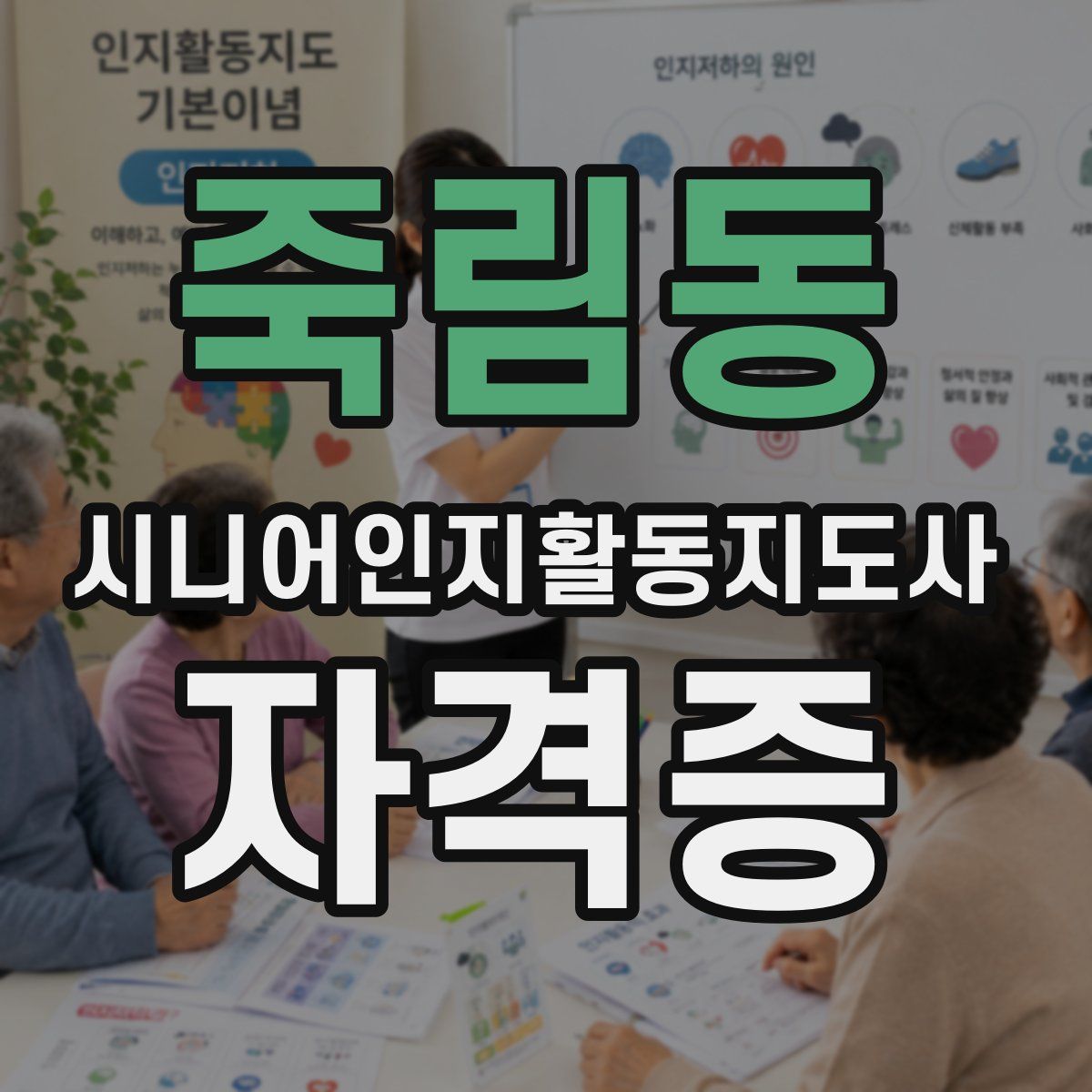 죽림동 시니어인지활동지도사 자격증