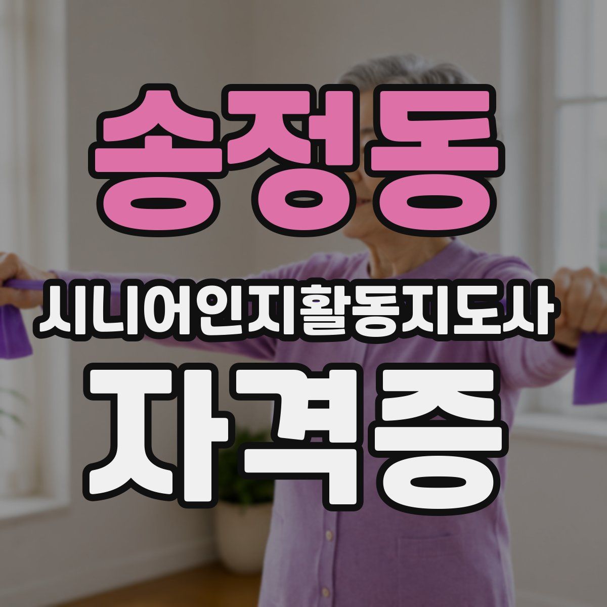 송정동 시니어인지활동지도사 자격증
