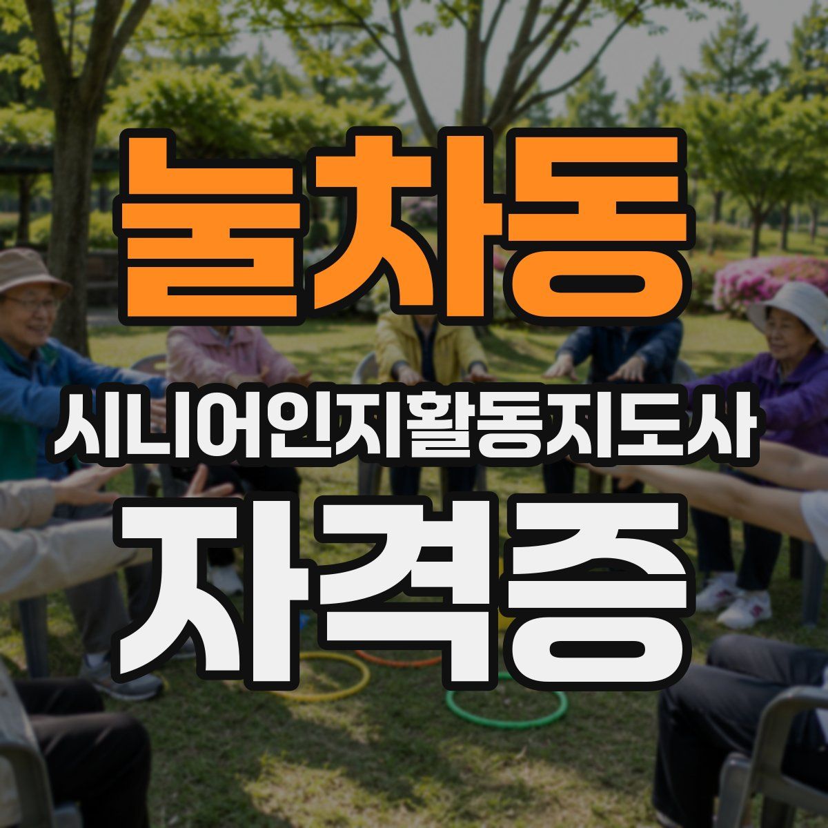 눌차동 시니어인지활동지도사 자격증