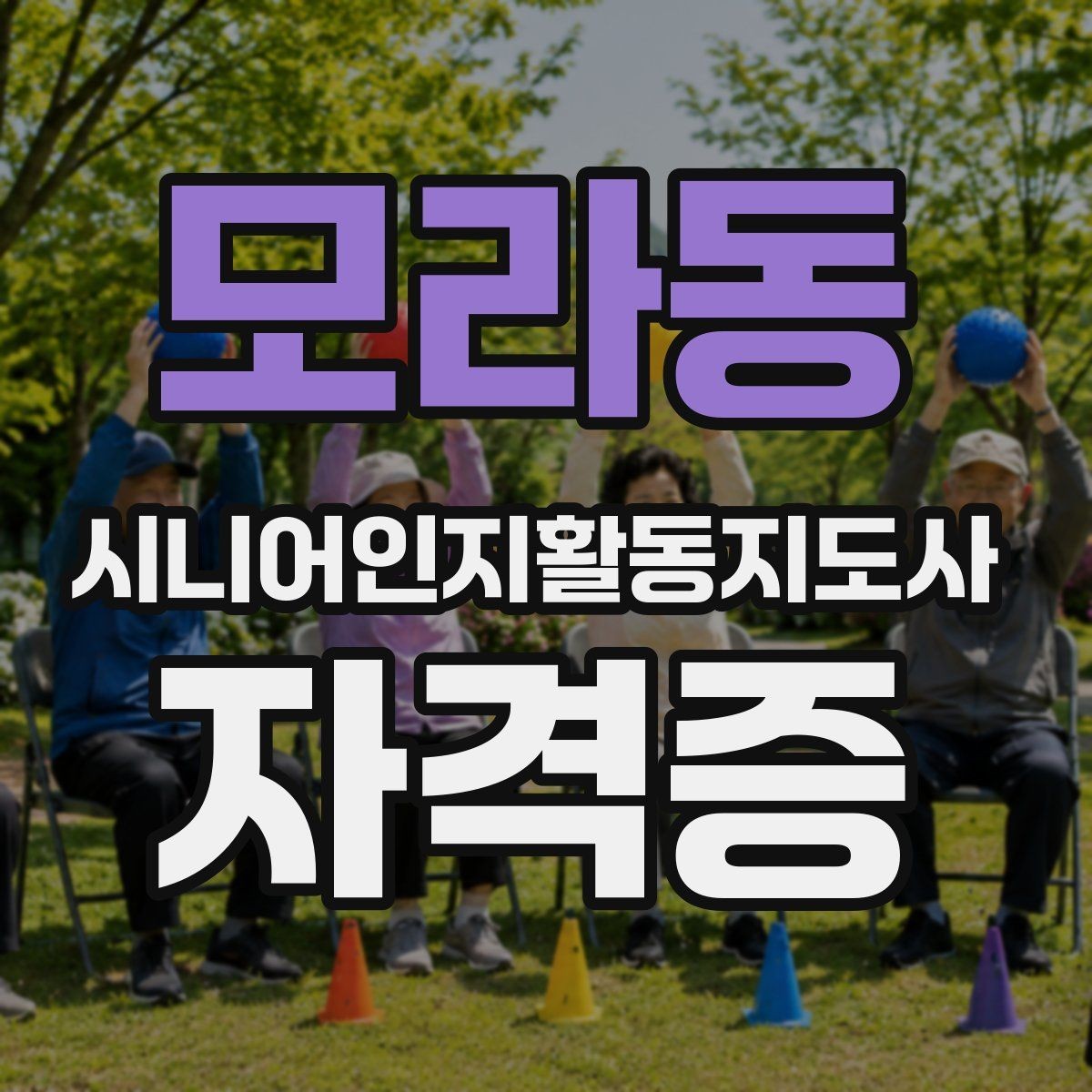 모라동 시니어인지활동지도사 자격증 수강 전 꼭 알아둘 내용