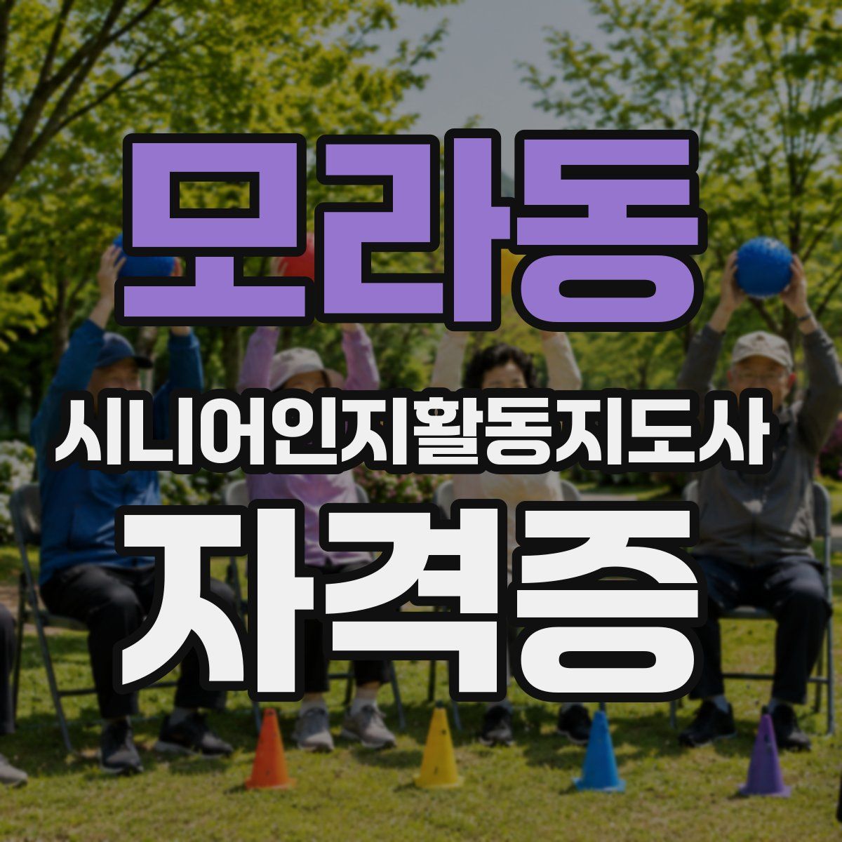 모라동 시니어인지활동지도사 자격증