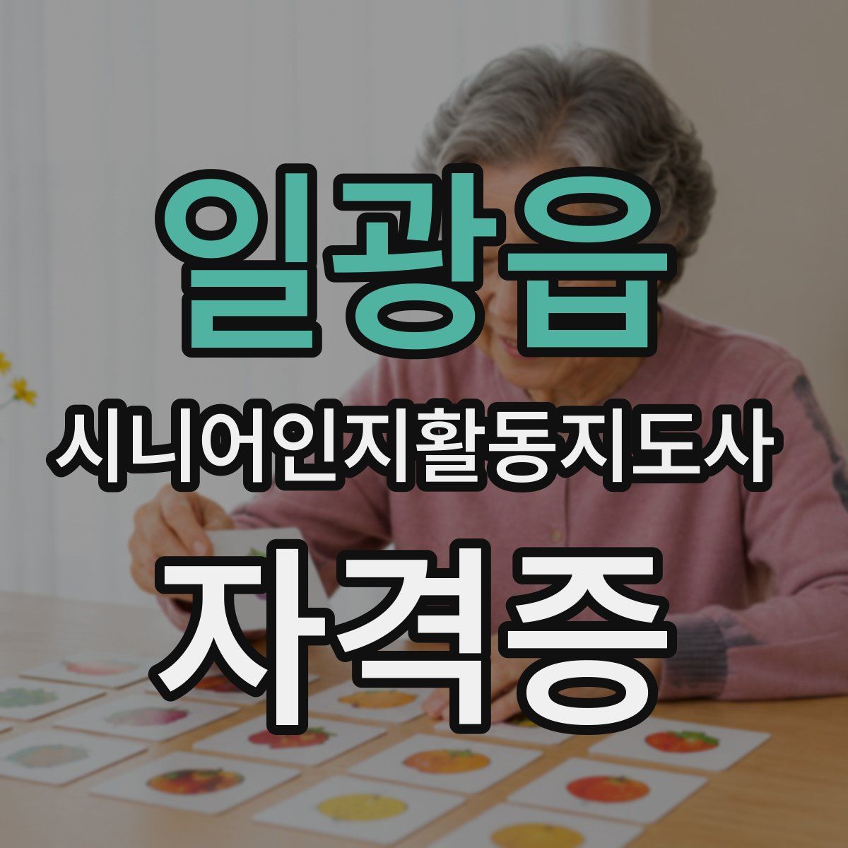 일광읍 시니어인지활동지도사 자격증