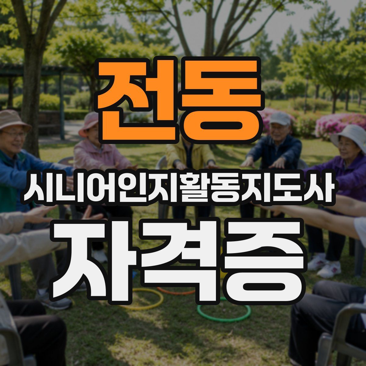전동 시니어인지활동지도사 자격증