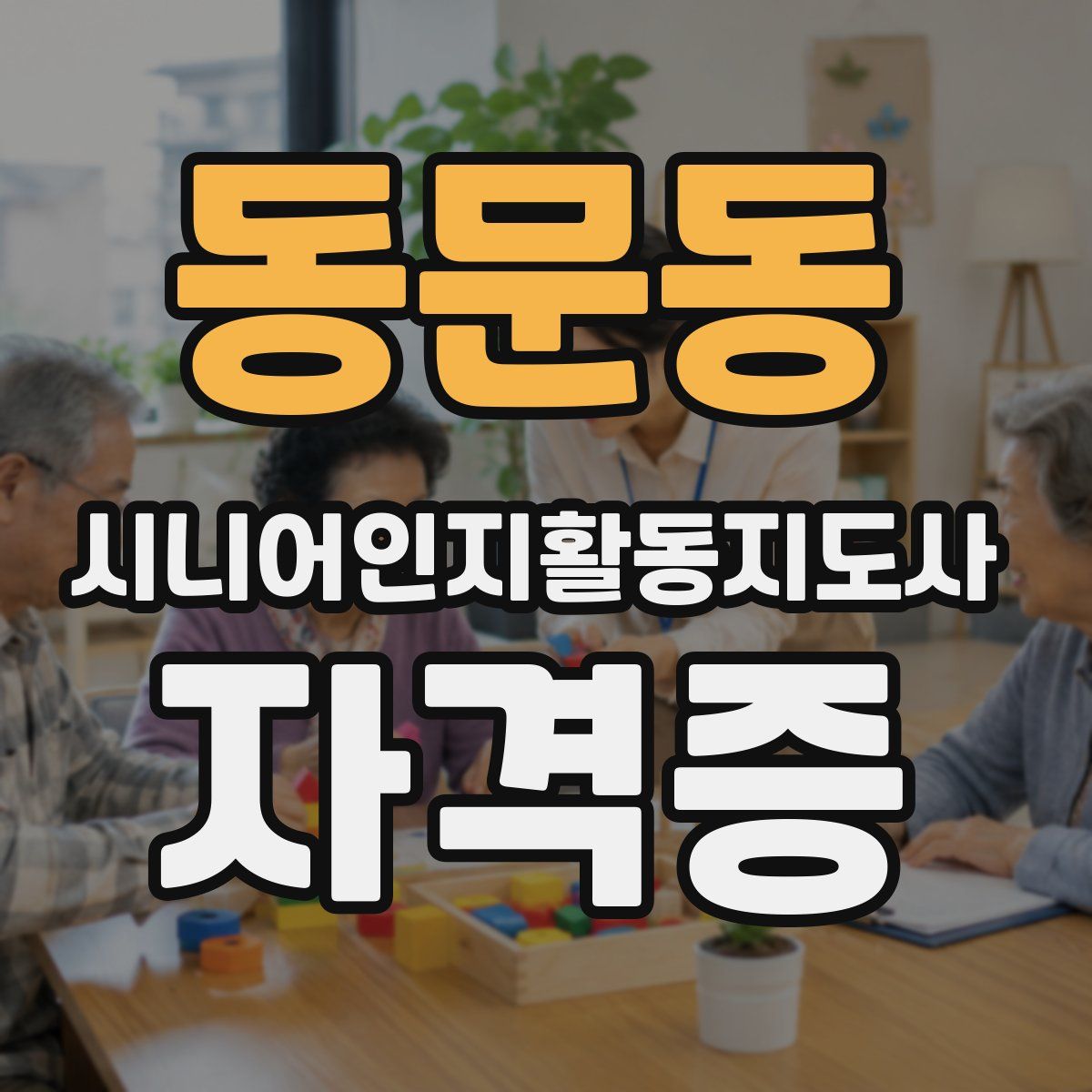 동문동 시니어인지활동지도사 자격증