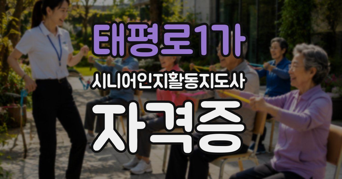 태평로1가 시니어인지활동지도사 자격증