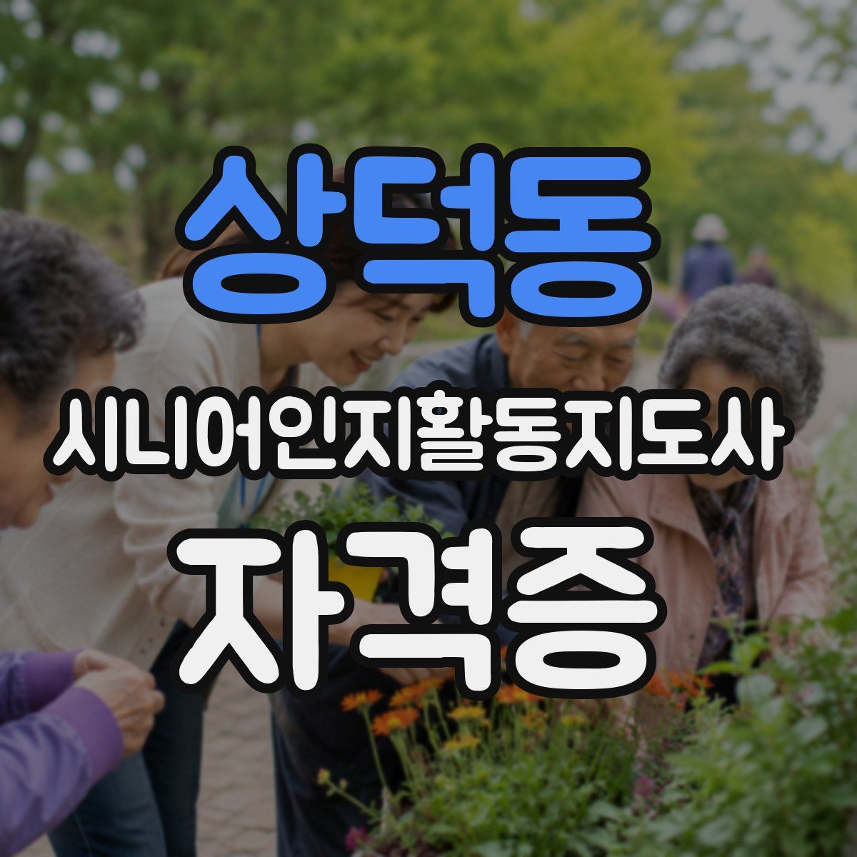 상덕동 시니어인지활동지도사 자격증