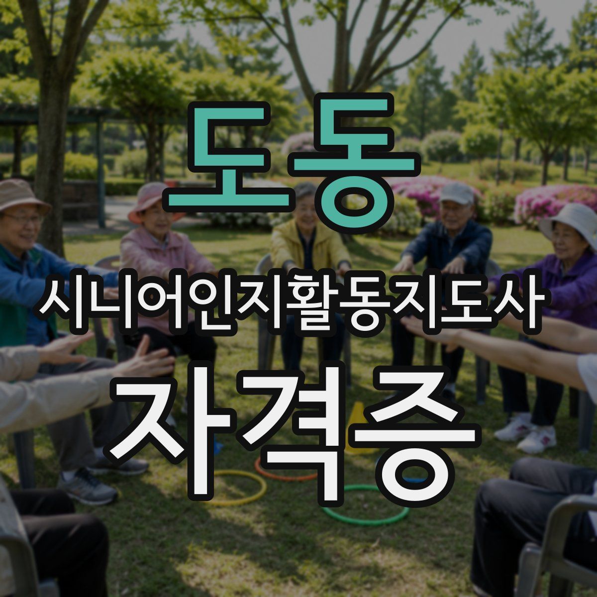 도동 시니어인지활동지도사 자격증
