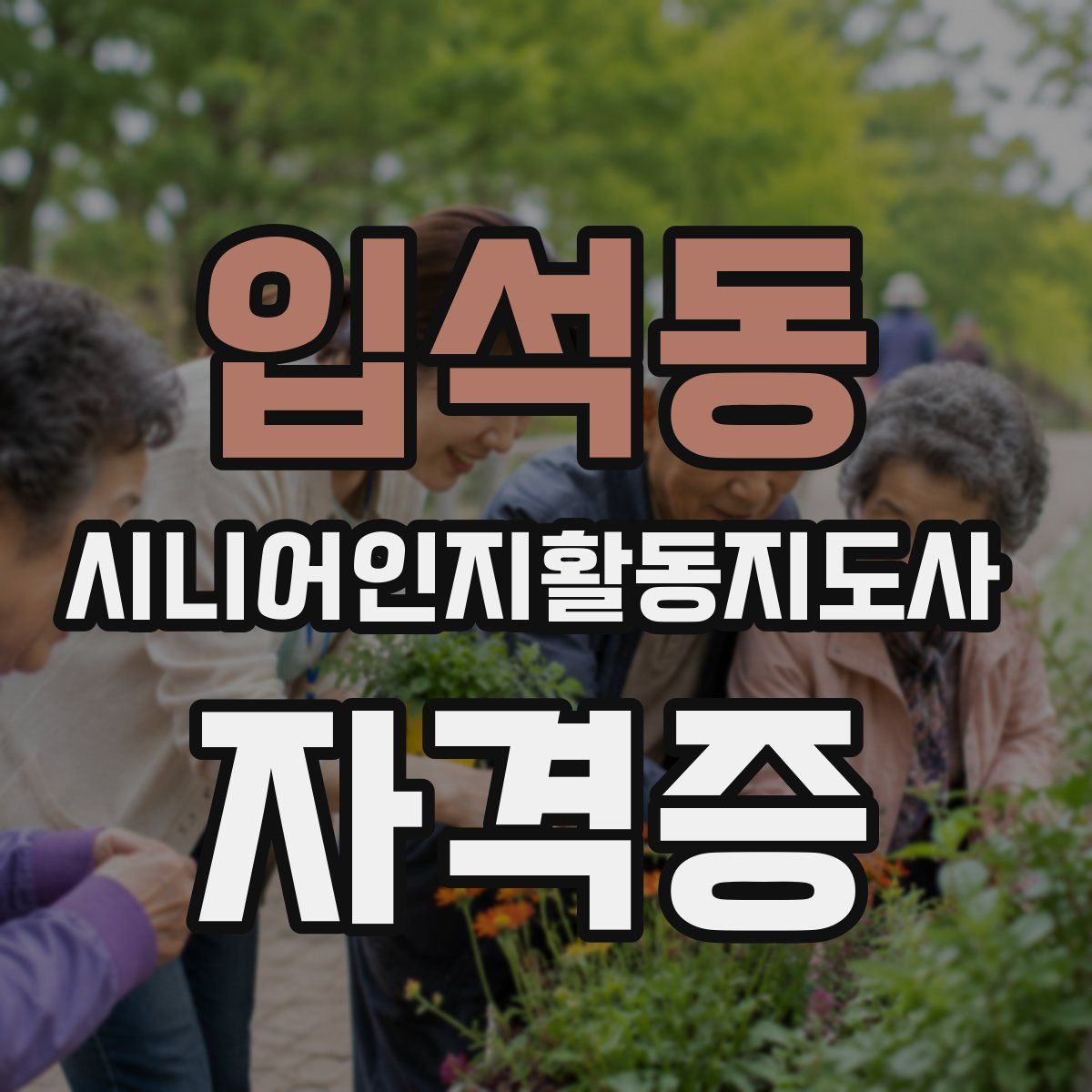입석동 시니어인지활동지도사 자격증