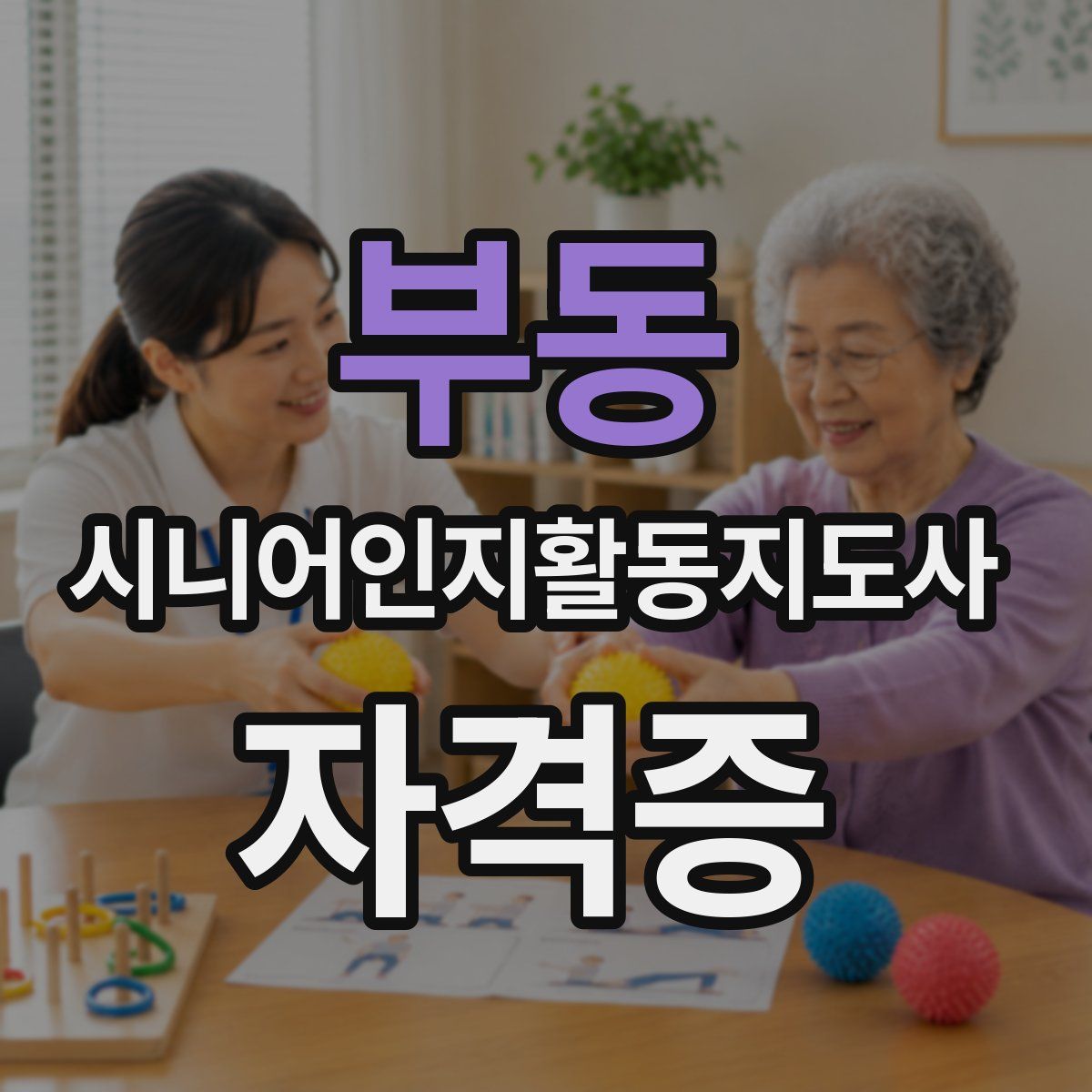 부동 시니어인지활동지도사 자격증