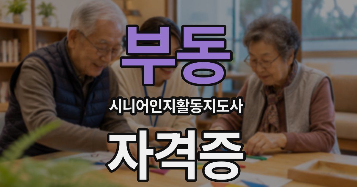 부동 시니어인지활동지도사 자격증