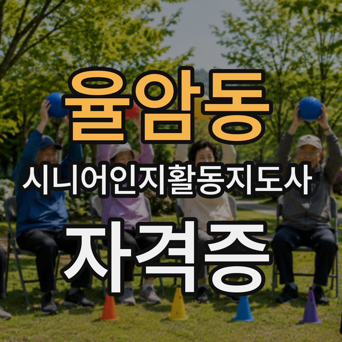 율암동 시니어인지활동지도사 자격증